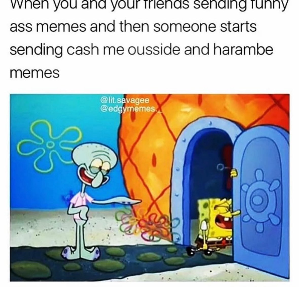 illegalbugtrader tweet media