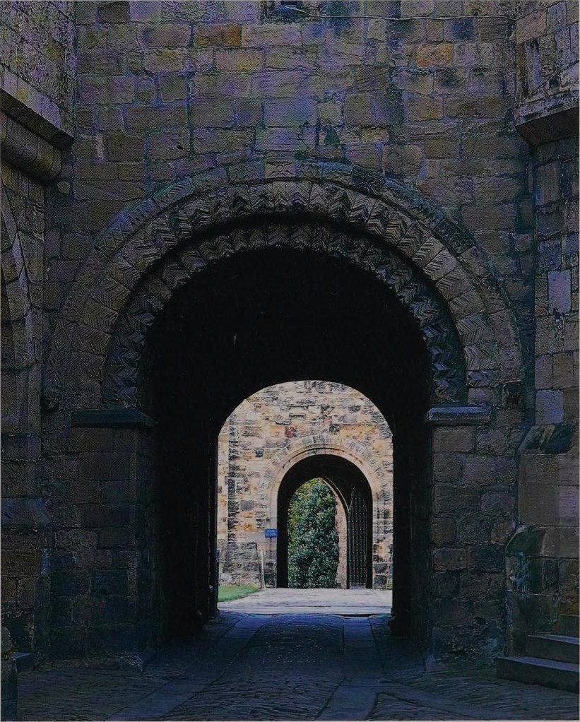 Tomb Raider Texture tweet media