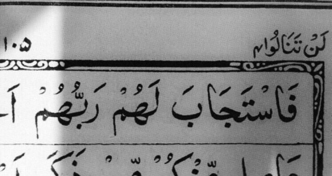 غادة سليمان tweet media