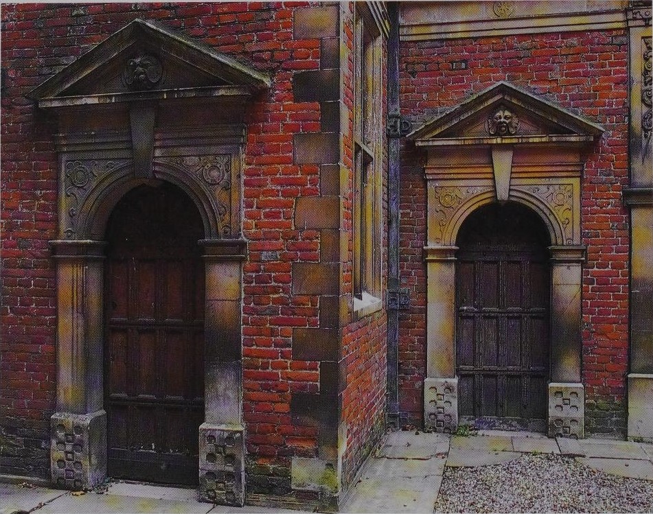 Tomb Raider Texture tweet media