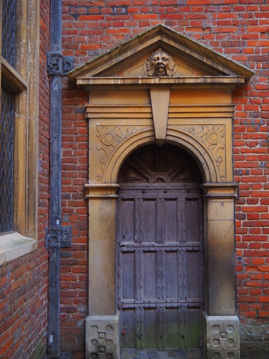 Tomb Raider Texture tweet media