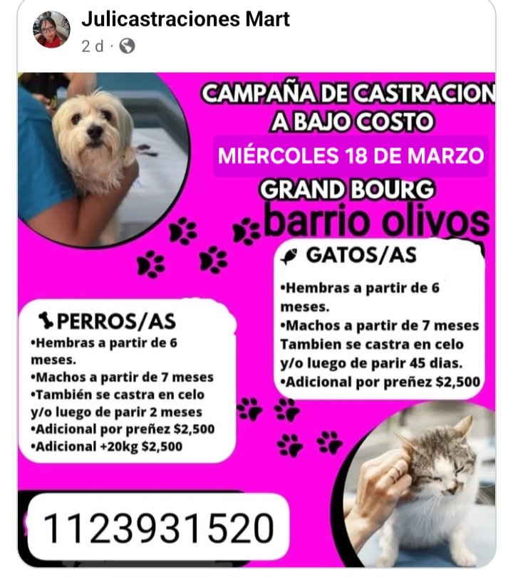protegealanimal's tweet photo. MALVINAS ARGENTINAS
#MALVINASARGENTINAS #MALVINAS #GRANDBOURG #BARRIOOLIVOS #PABLONOGUÉS #NOGUÉS #ADOLFOSOURDEAUX #SOURDEAUX #LOSPOLVORINES #POLVORINES #TORTUGUITAS #VILLADEMAYO #TIERRASALTAS #ZONANORTE #GRANBSAS #BSAS #BUENOSAIRES #CONURBANO https://t.co/RuY8HT1D4l