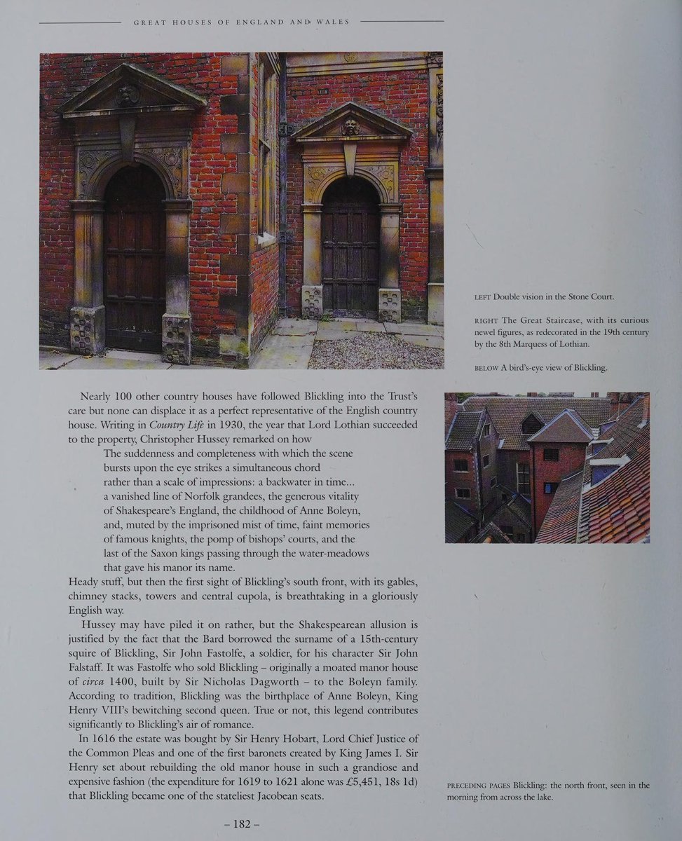 Tomb Raider Texture tweet media