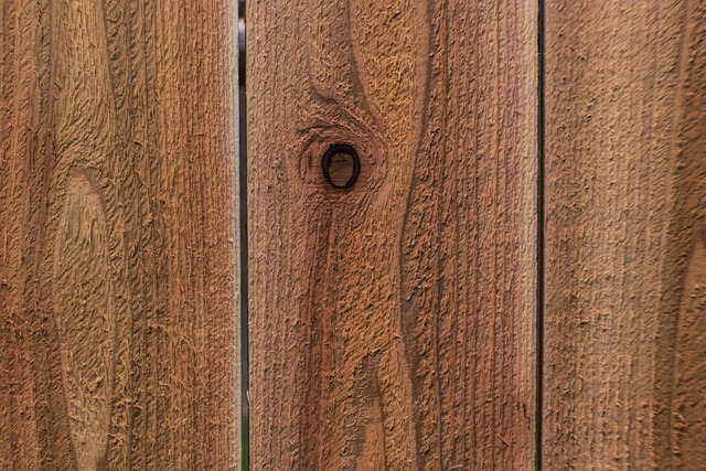 Michelle Brady tweet media