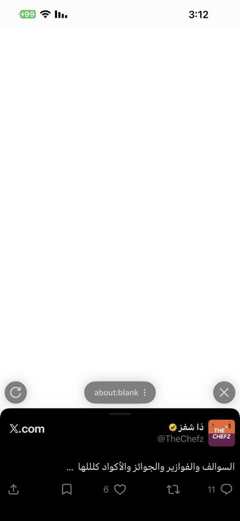 ميلا 🕊️ tweet media