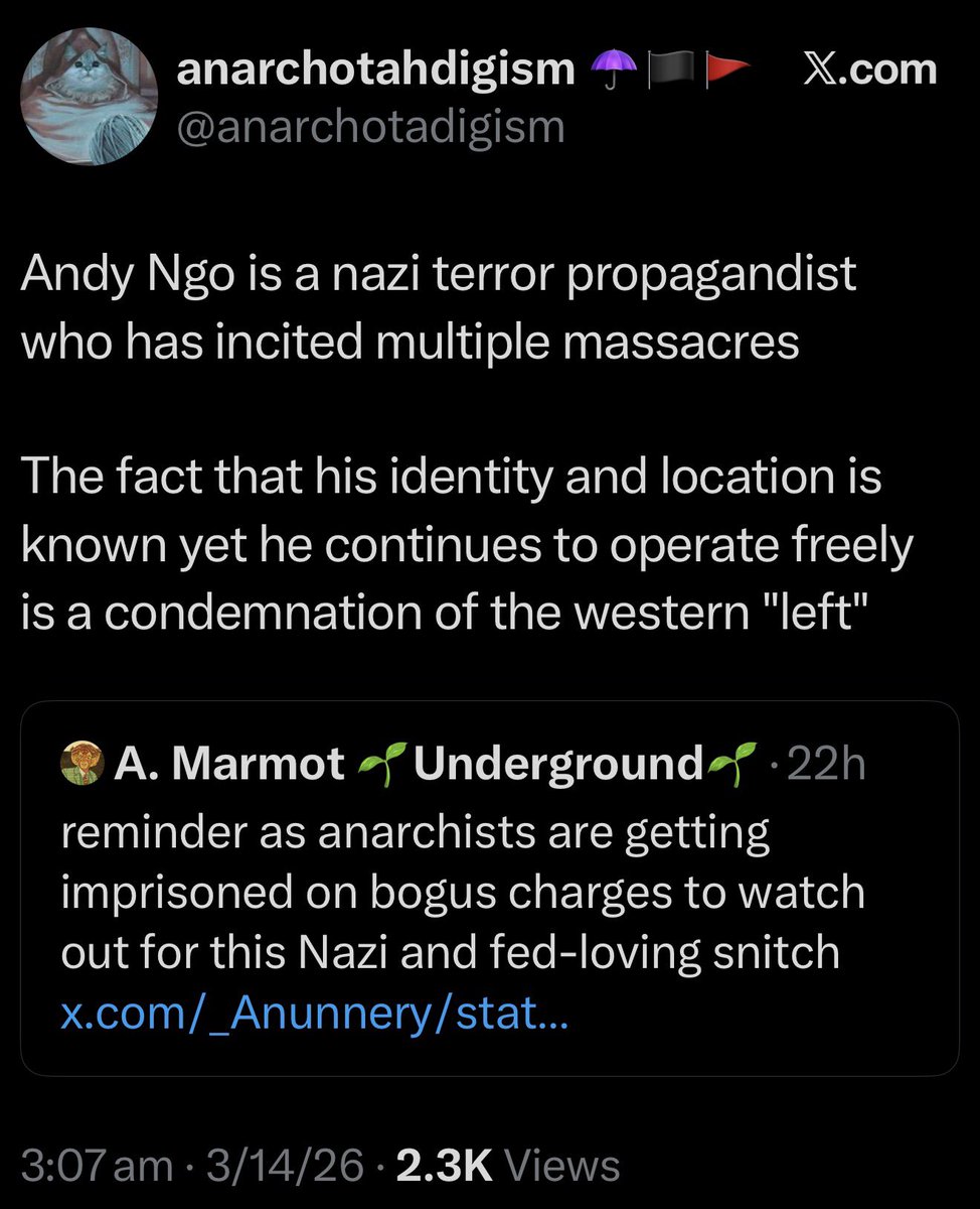 Andy Ngo tweet media