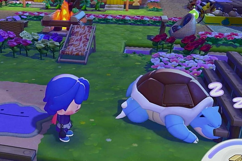 Zelda ✨ tweet media