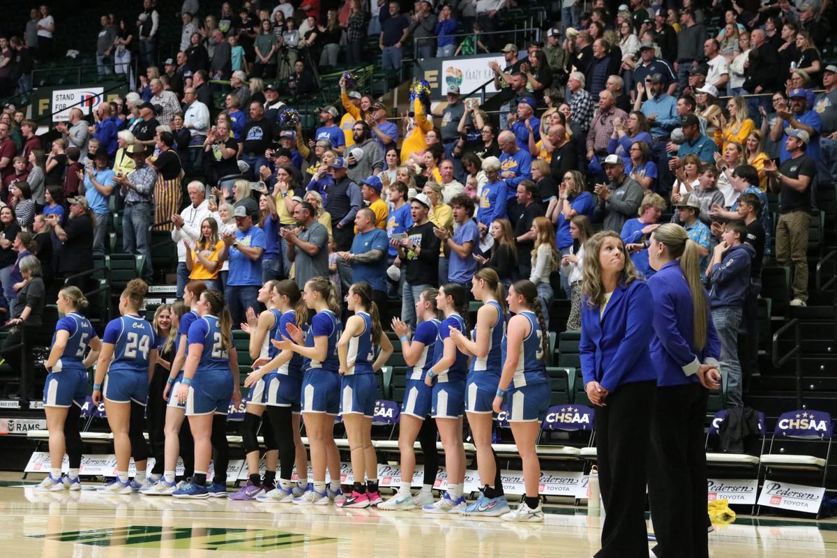 MileHigh Prep Report tweet media