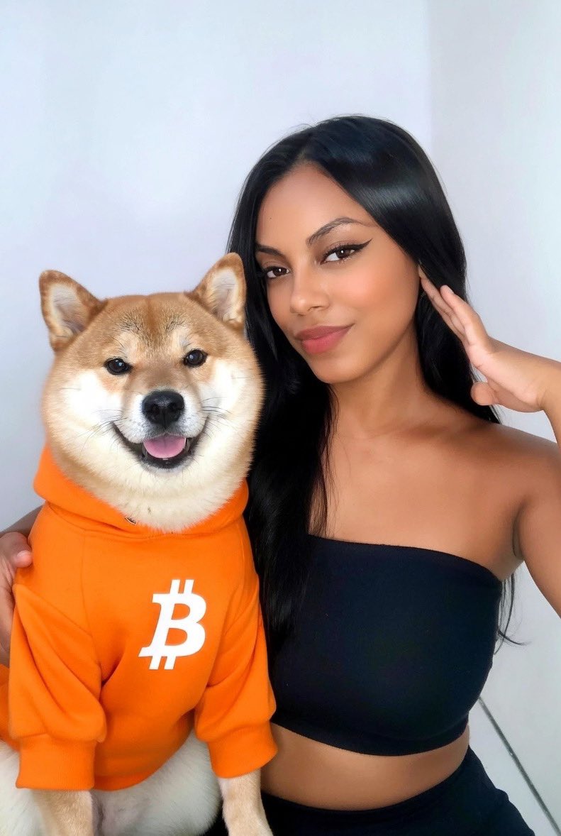 Lina 🌊🐳 tweet media