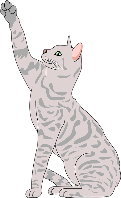 Tra鑫鑫 tweet media