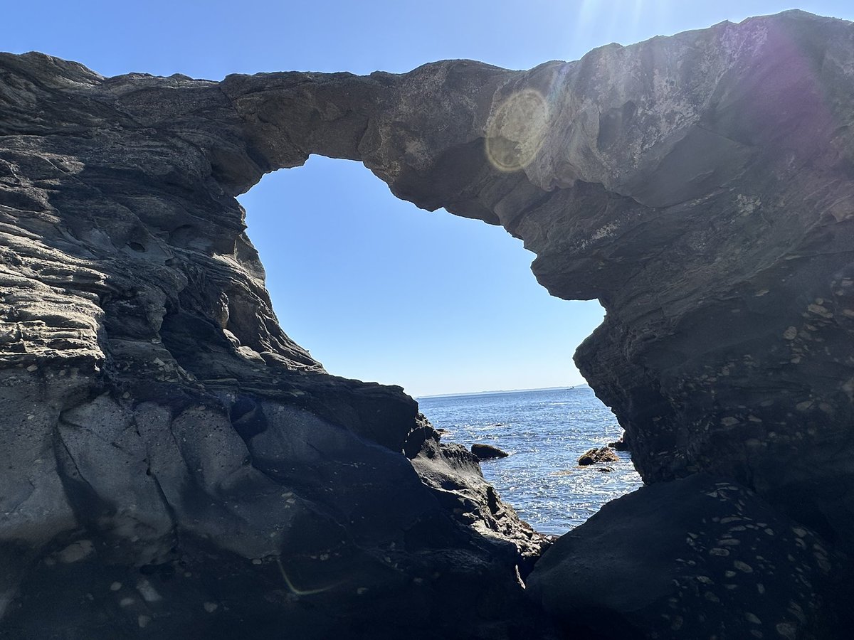 はっしぃ♪ tweet media