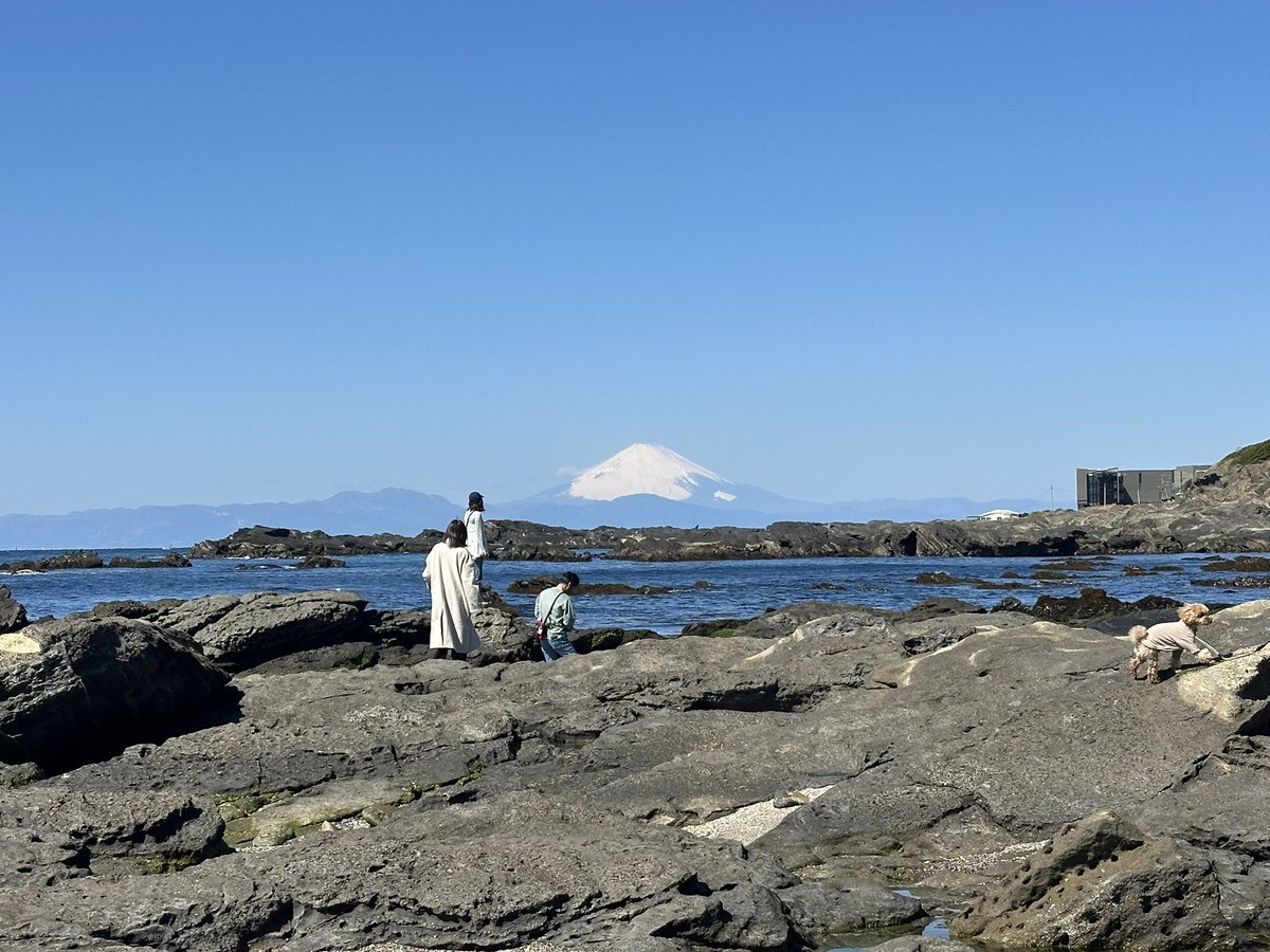 はっしぃ♪ tweet media