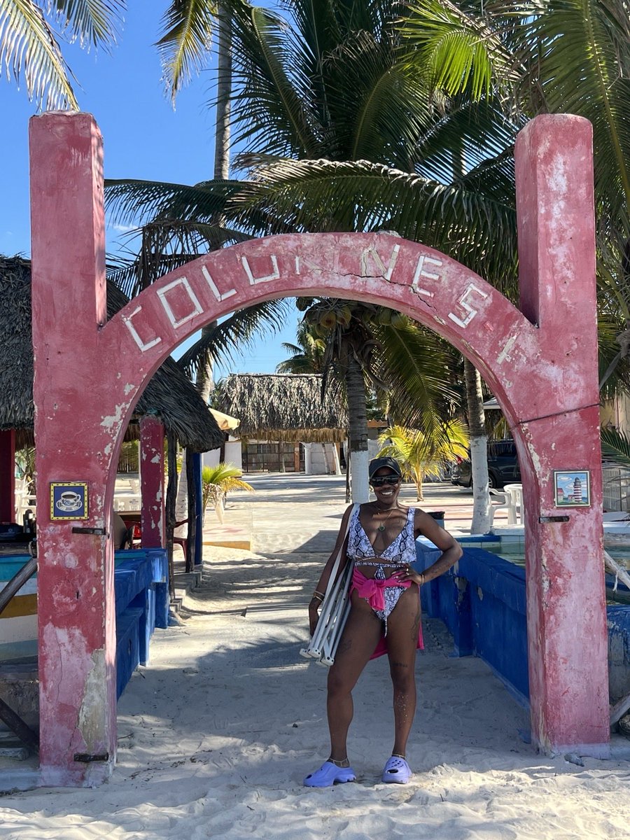 predicate ashes tweet media