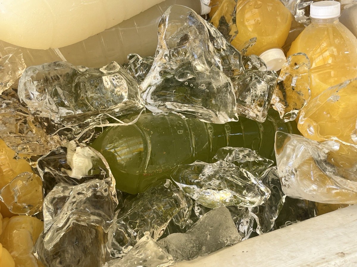 predicate ashes tweet media