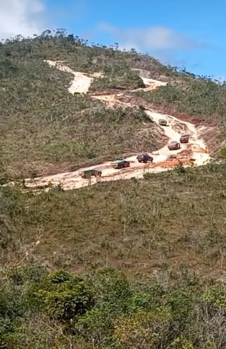 Fritz Sanchez tweet media