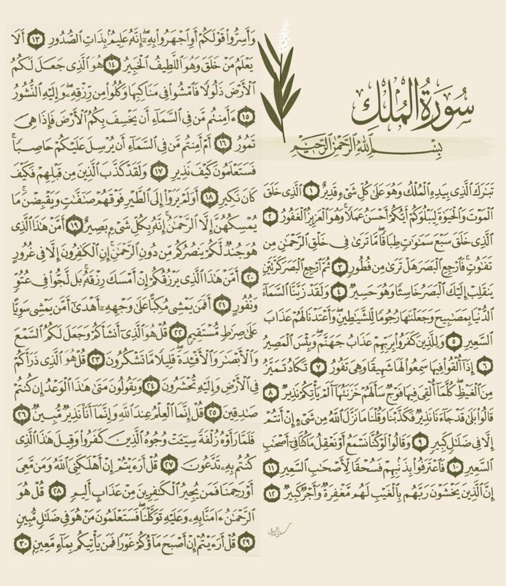 دعاء tweet media