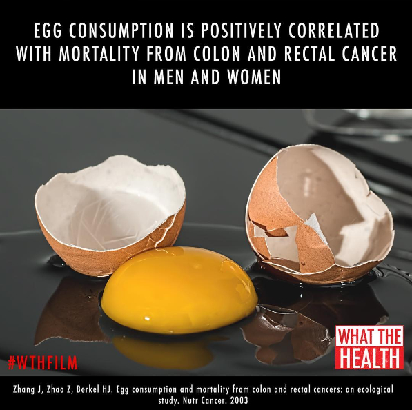 veganfuture's tweet photo. Egg consumption is positively correlated with mortality from colon and rectal cancer in men and women https://t.co/vRPfaNne3N