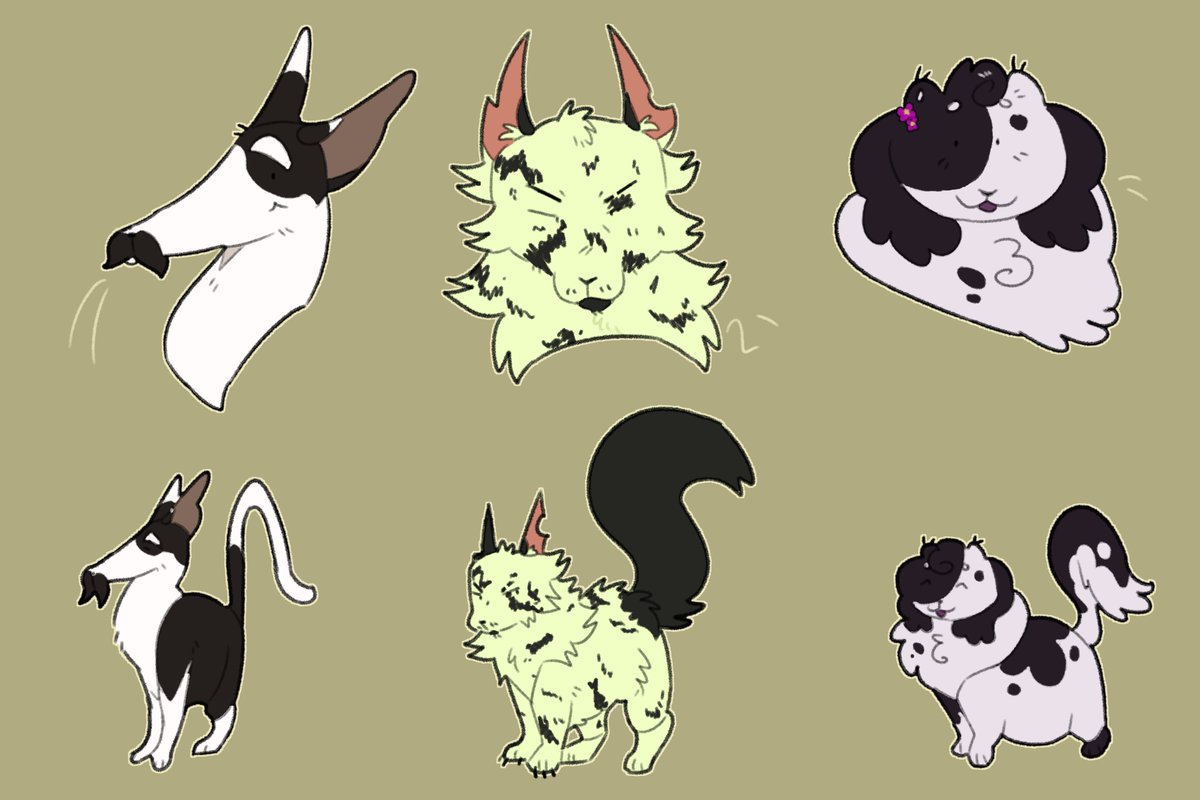 Ray 🐟🦭 tweet media