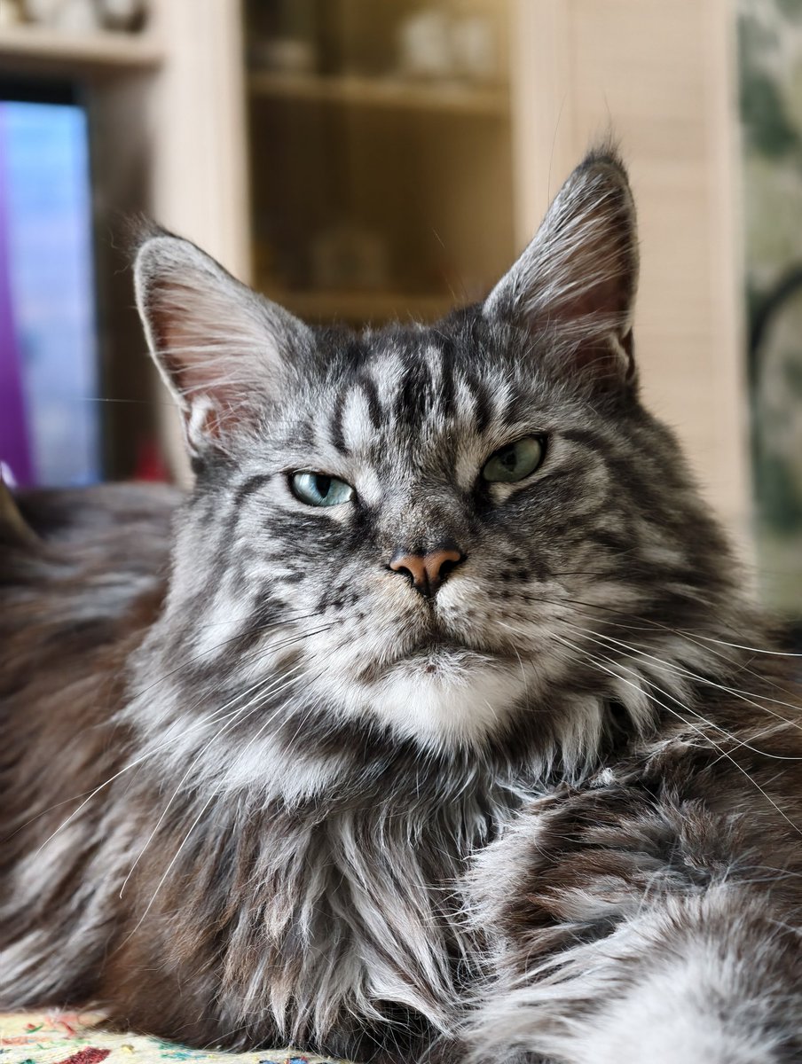 Yuozchik tweet media