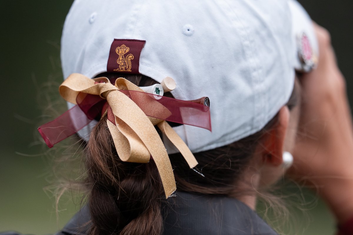 Minnesota Women's Golf tweet media