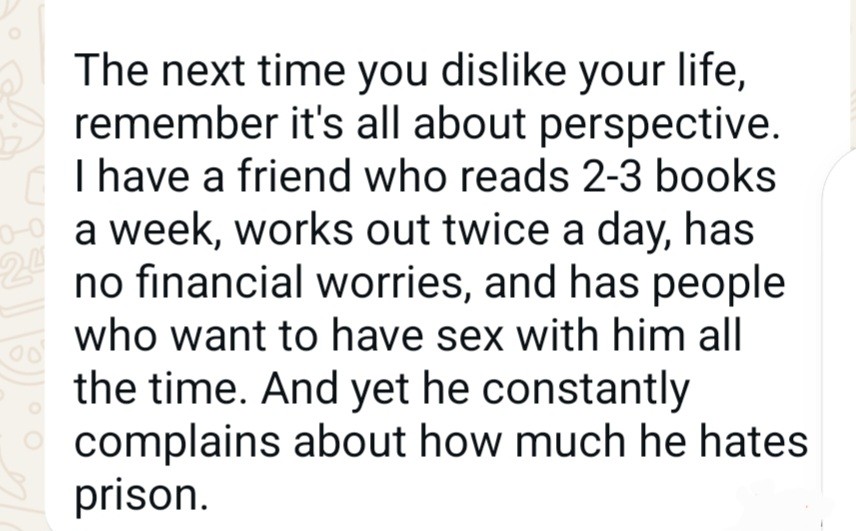 DogsAreBetter tweet media