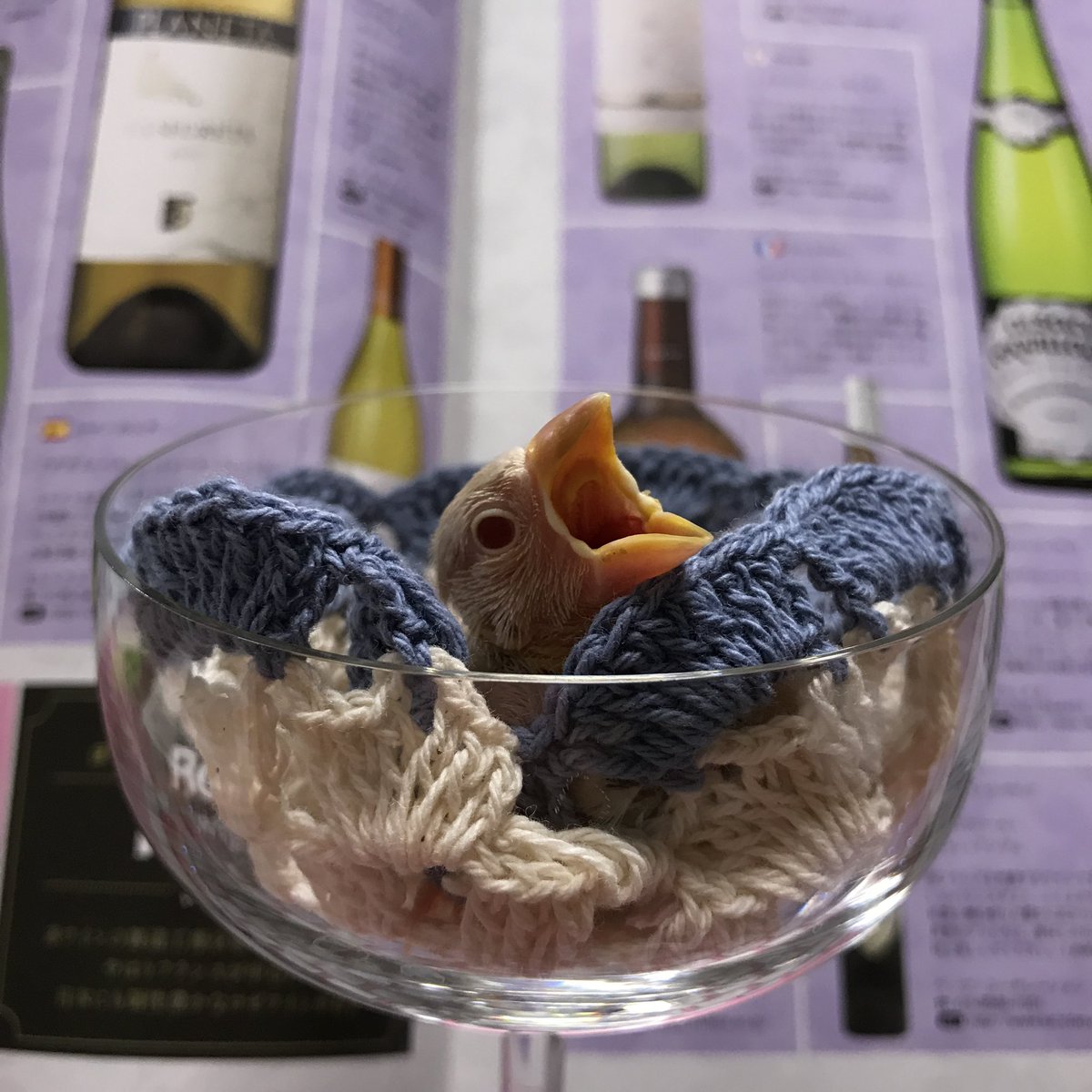 Jasmine fragrance tweet media