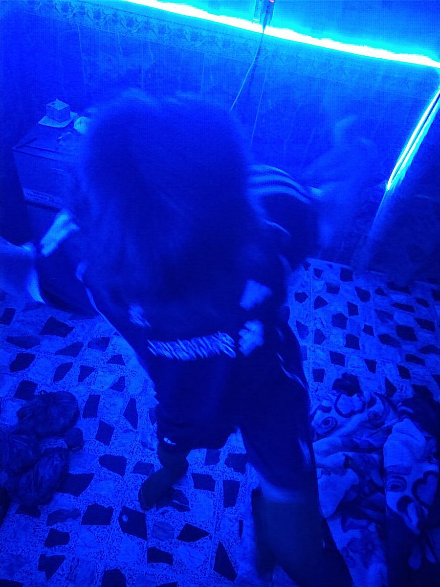 موداية tweet media