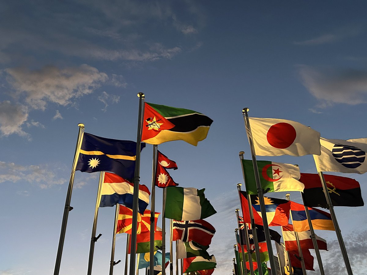 さっく tweet media