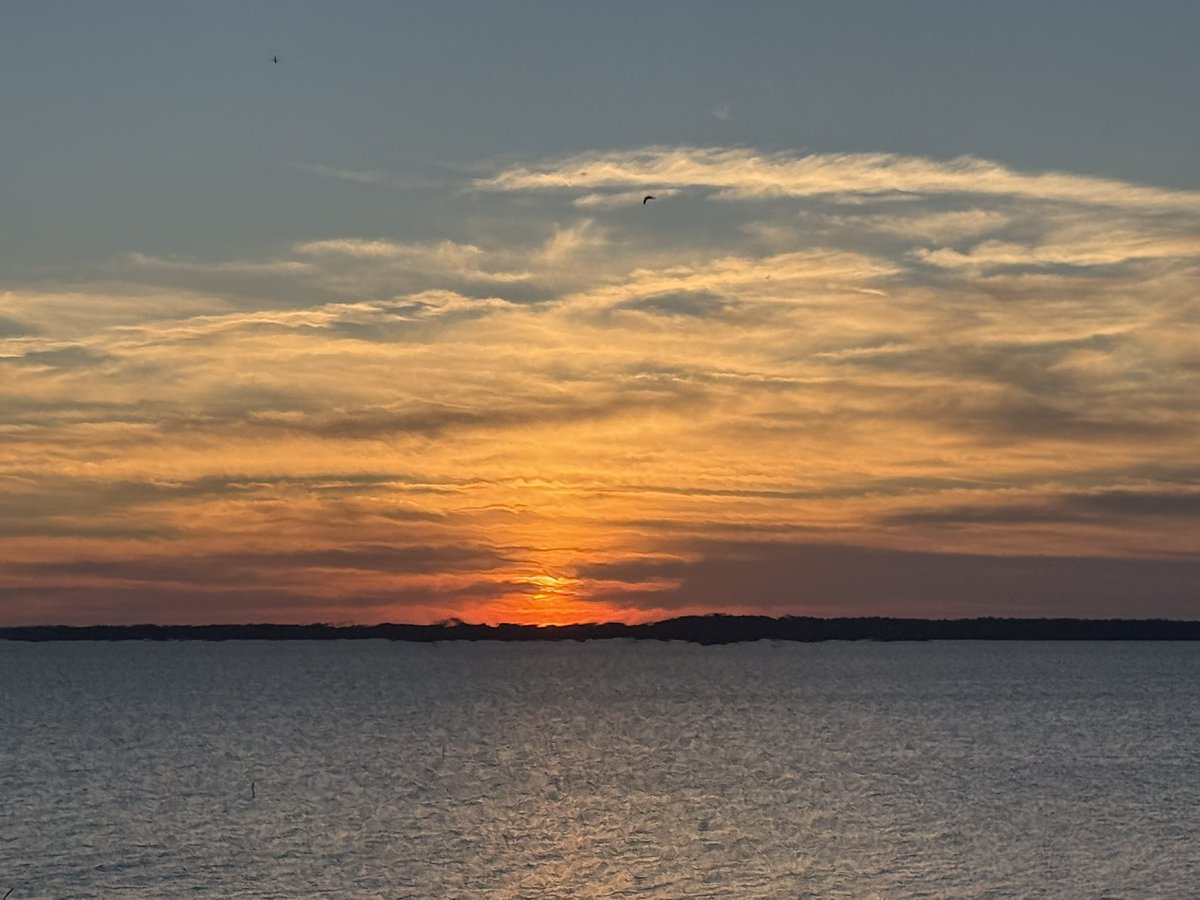 Sturdy Jenn tweet media