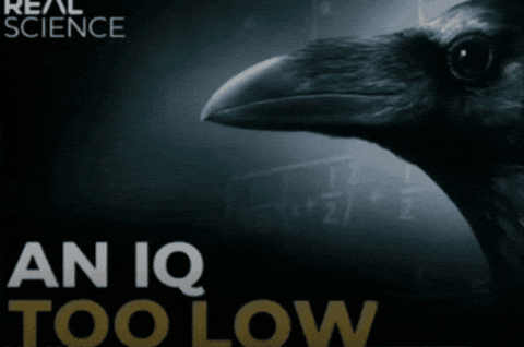 Yusufcan tweet media