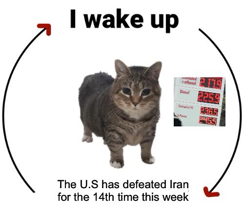 Kenneth Dredd tweet media