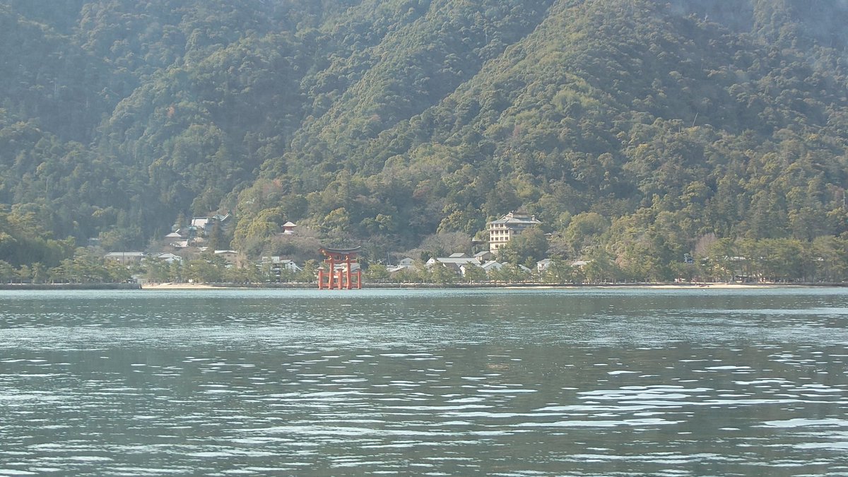 intouVTZ's tweet photo. 久々の宮島 https://t.co/FLaegRB7PO