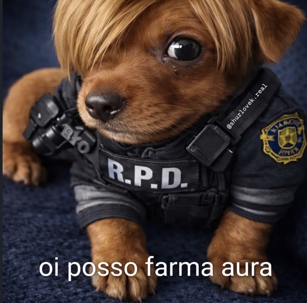 Fdp posting tweet media