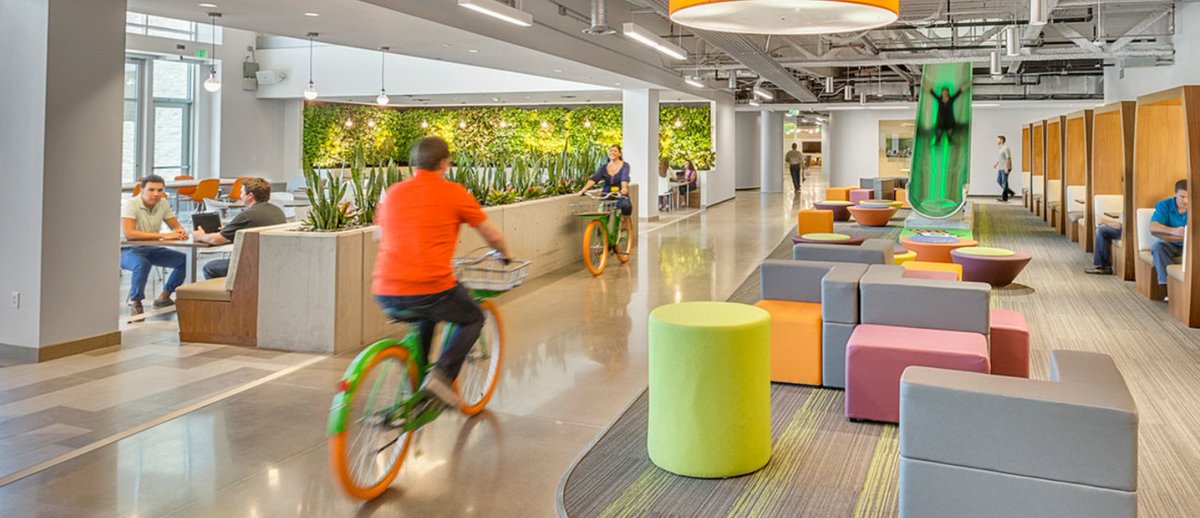 EducatedGuest93's tweet image. Retaliation Evidence:

The St. Croix Sun rose. ☀️ We cited 18 U.S.C. § 1030 and named the "Hangmen." GD earned their 0/10. @GoDaddy didn't just fail; they "noosed" a news org for reporting the truth. They hooded us, but forgot to kick out the chair. ⛓️💀

#FreePress #USVI [2/3]