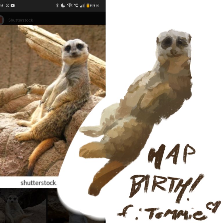 <a href="/meerkat_daily/">Meerkat daily</a> happy birthday mate!!!! i tried my best but its 2:30 am and i am very tired. but heres a little guy for you!!