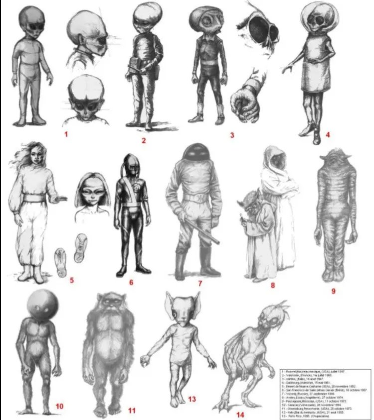 T R U T H P O L E tweet media