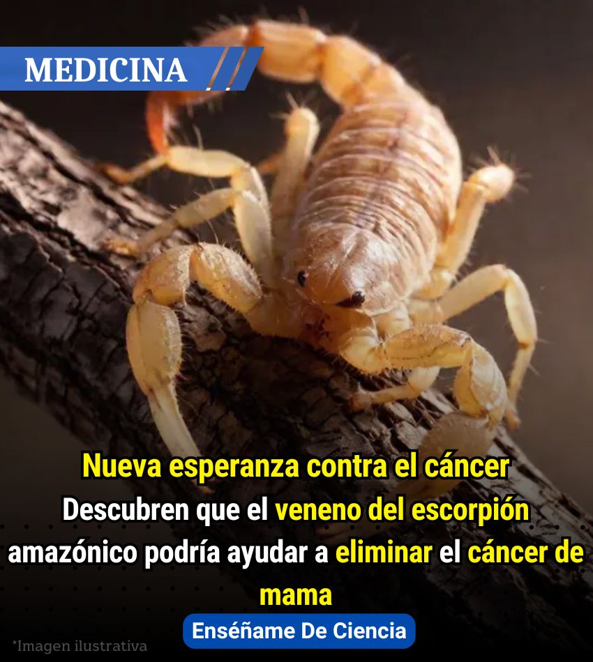 Enséñame de Ciencia tweet media