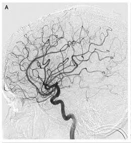 docakx's tweet photo. Diagnosis? https://t.co/WTkiPipm7j