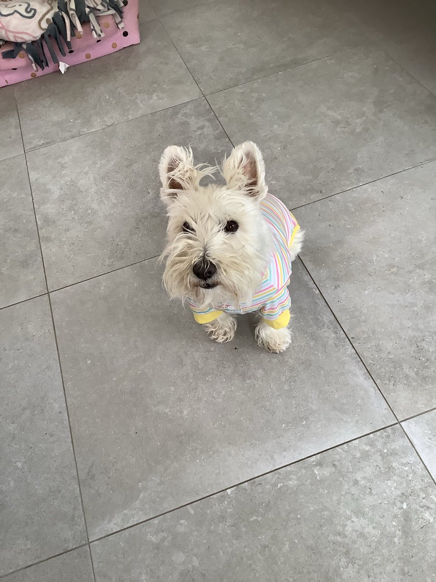 Maggie giver of hugs & goodwill. tweet media