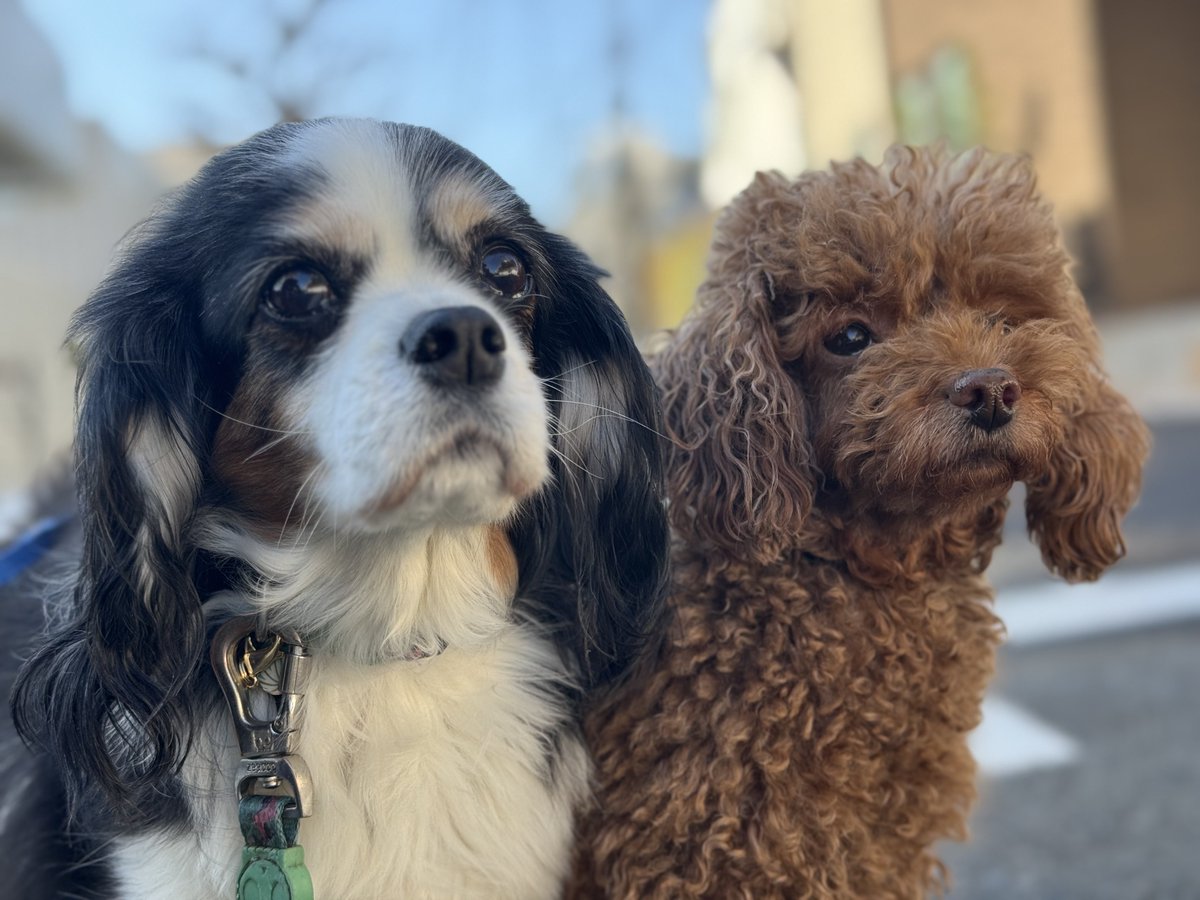 門田充宏 / Mitsuhiro Monden tweet media