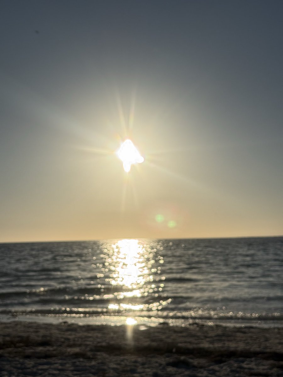 🇺🇸 Dave 🇺🇸 tweet media