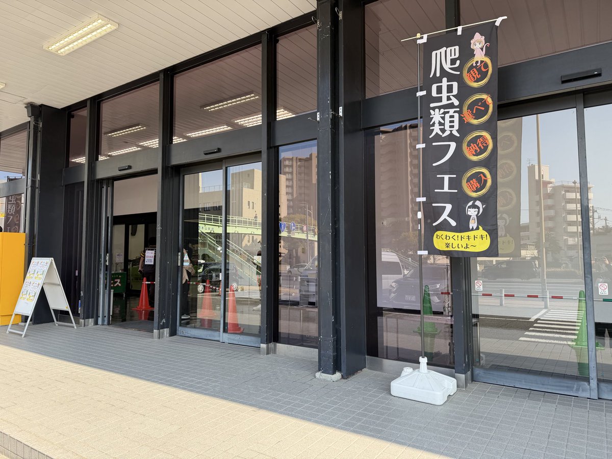 爬虫類フェス（九レプ、広レプ） tweet media