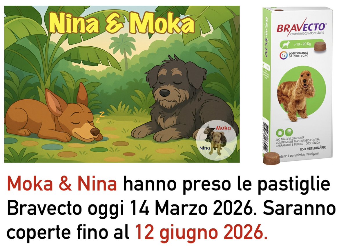 Moka &amp; Nina sono tornate a prendere il Bravecto. È costoso ma è il più sicuro di tutti. 
#Nina #Moka #MyDog #IlMioCane #Cachorro #ViraLata #Meticcio #DogLover #MyDog