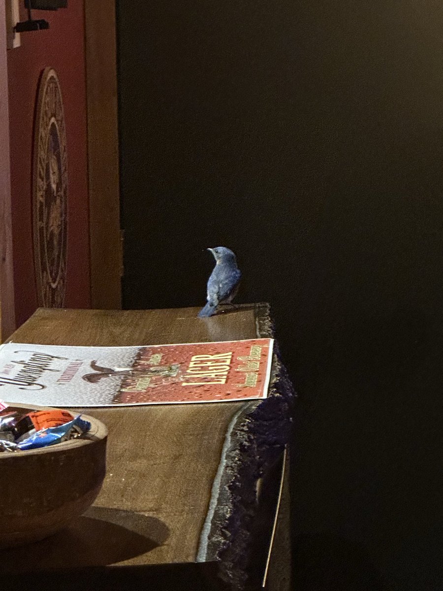 ProFootballTalk tweet media