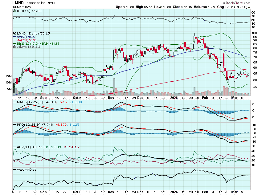 Option Millionaires tweet media