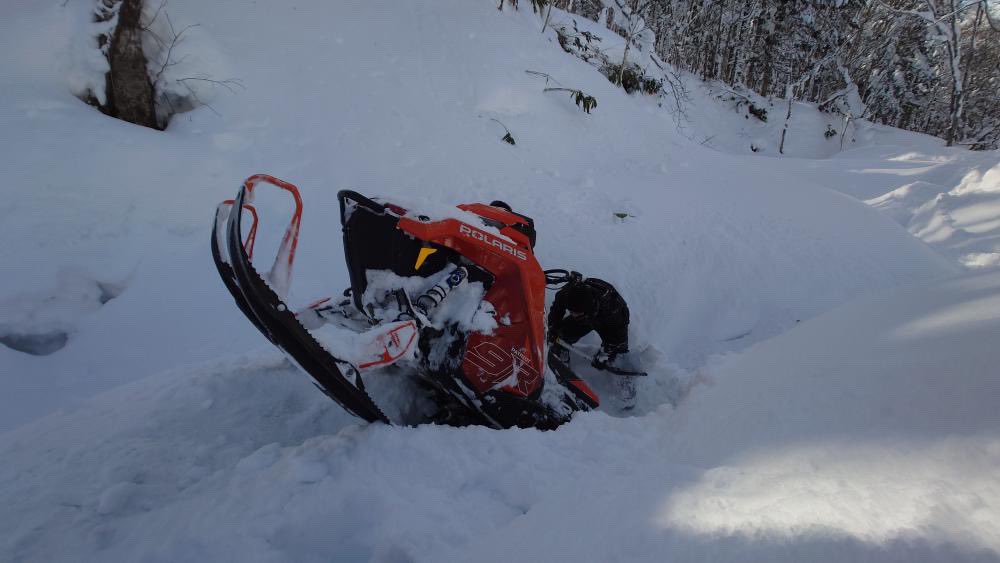 ひろむ tweet media