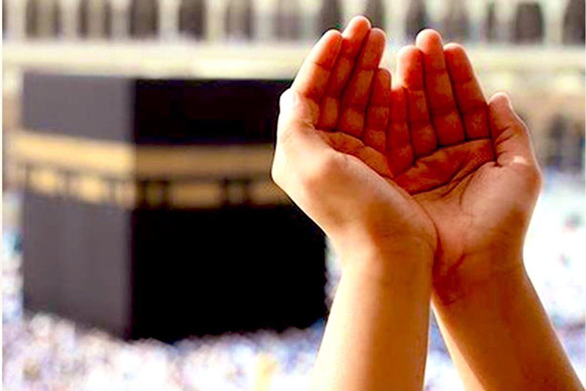 رجا عوض العتيبي tweet media