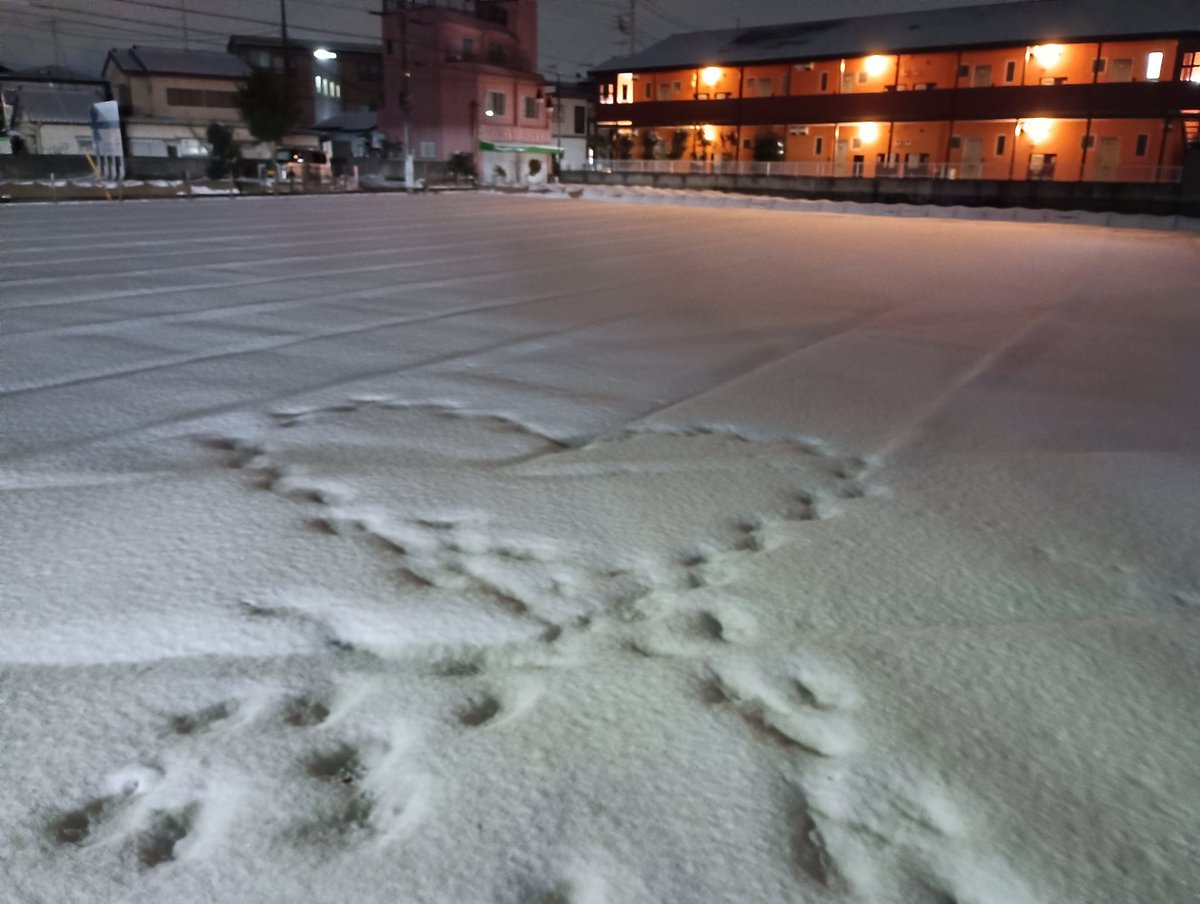 紡ちさと tweet media