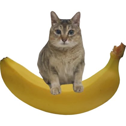 〽️Shady〽️ tweet media