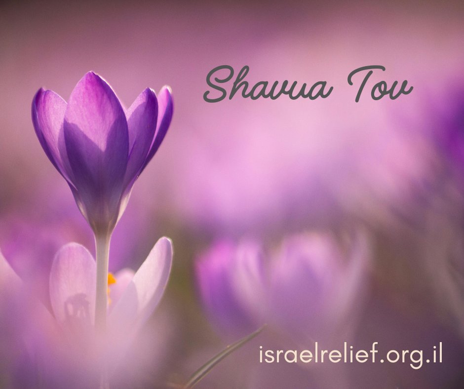 BlessingIsrael2Gthr tweet media